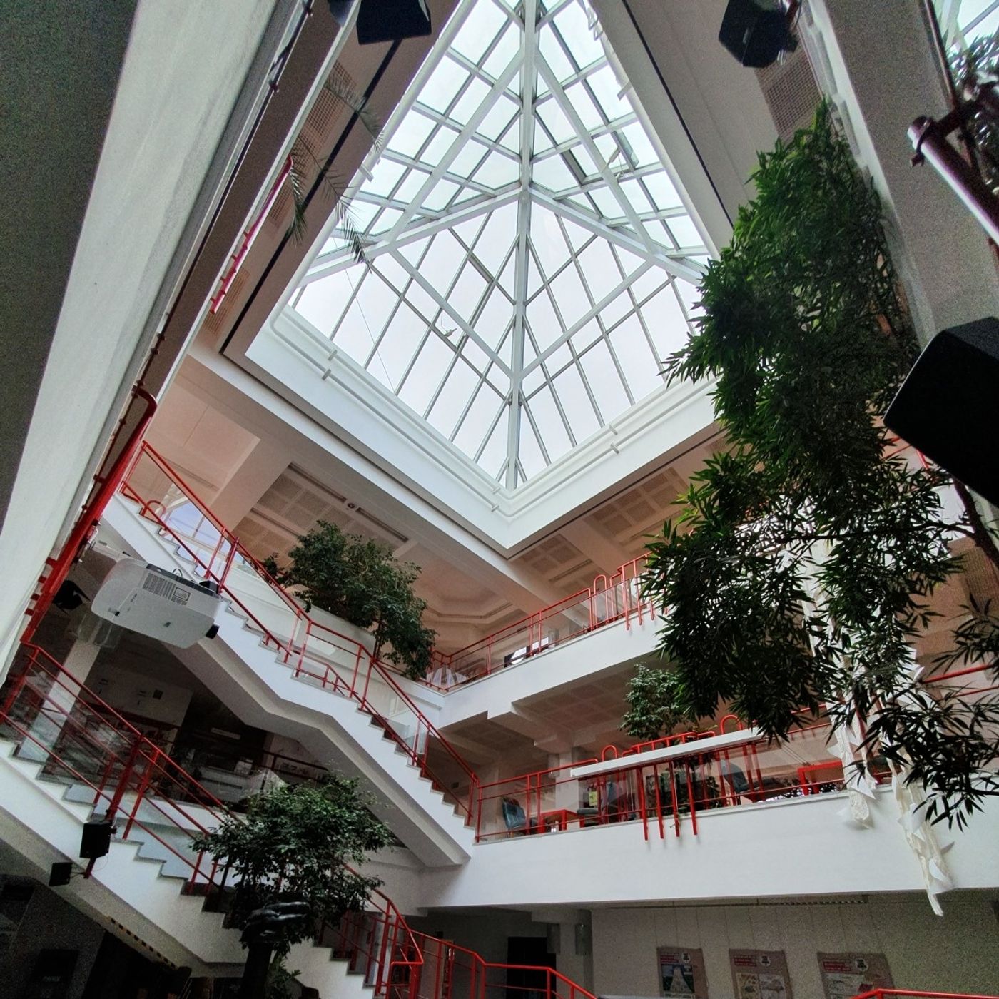Mittwochs in der Bibliothek