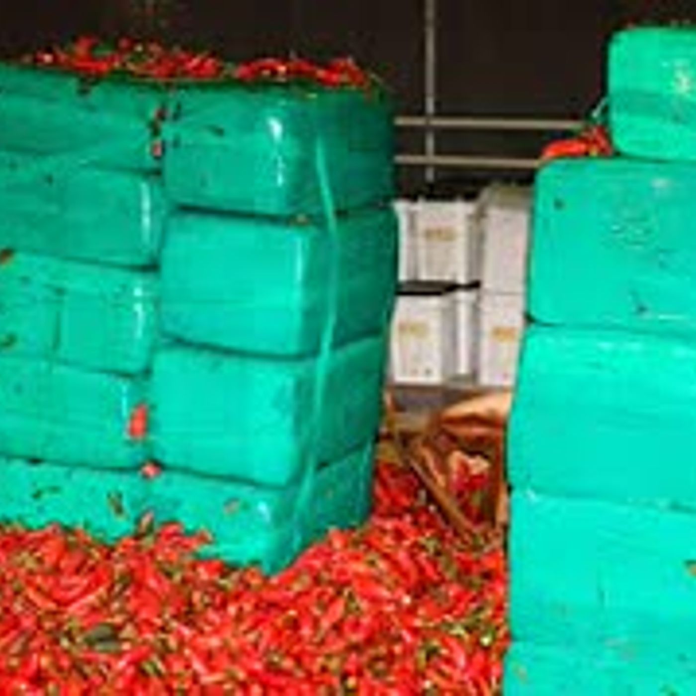 5 Ton Weed Bust at NY Border! US House votes for in state research-VA. decriminalizes-Weed Talk News