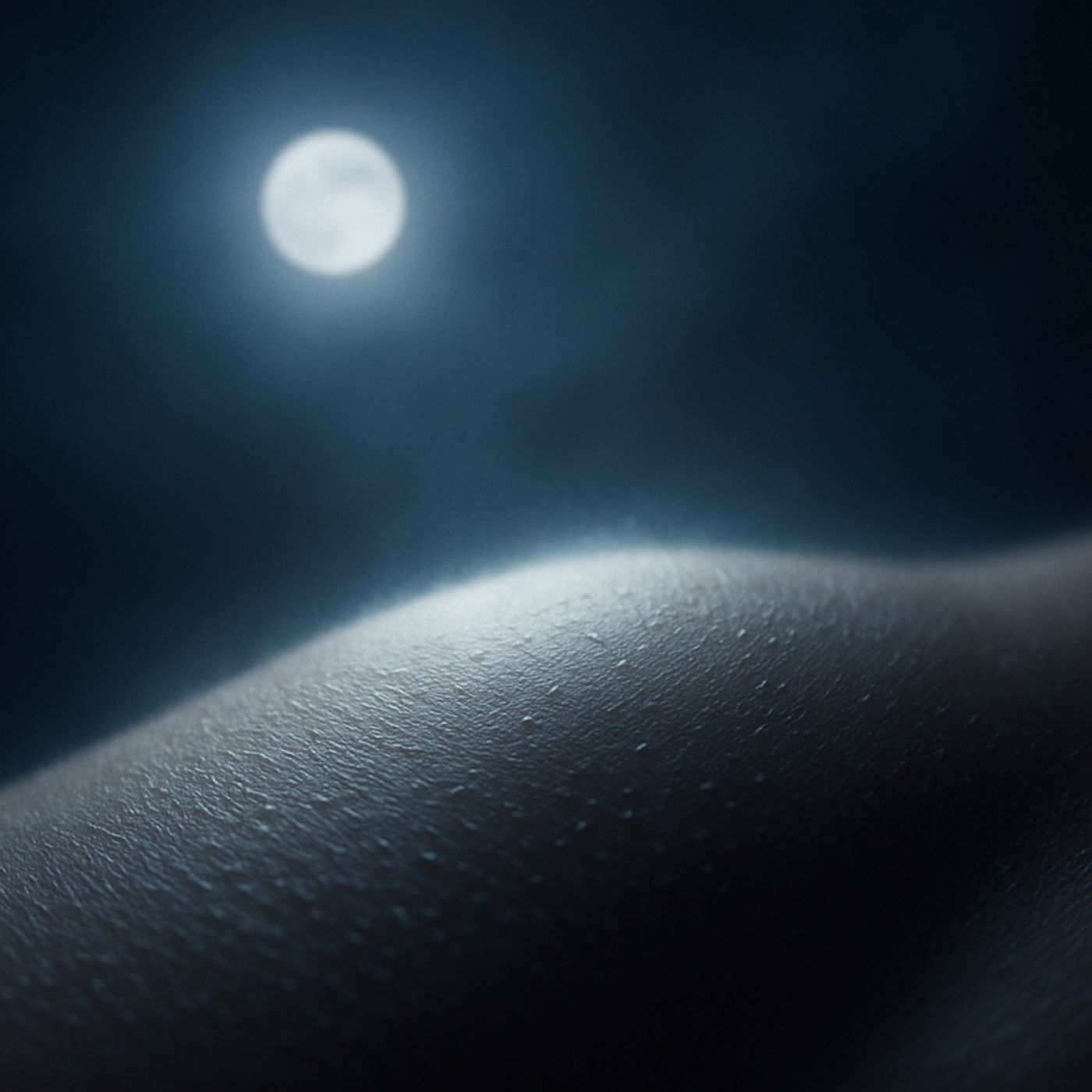 Episodio 348 - Luna a fior di pelle episode artwork