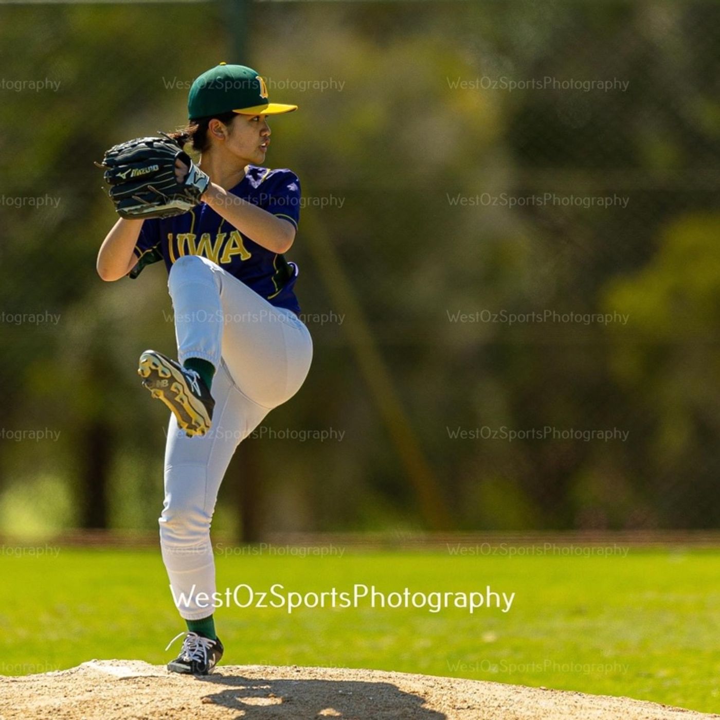 Ladywhips Baseball