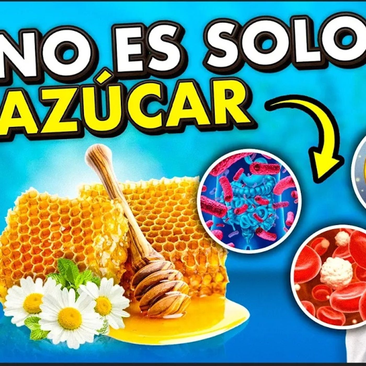 🐝UNA CUCHARADA DE MIEL DE ABEJA A DIARIO | ⚠️ESTO PASA EN TU ORGANISMO.