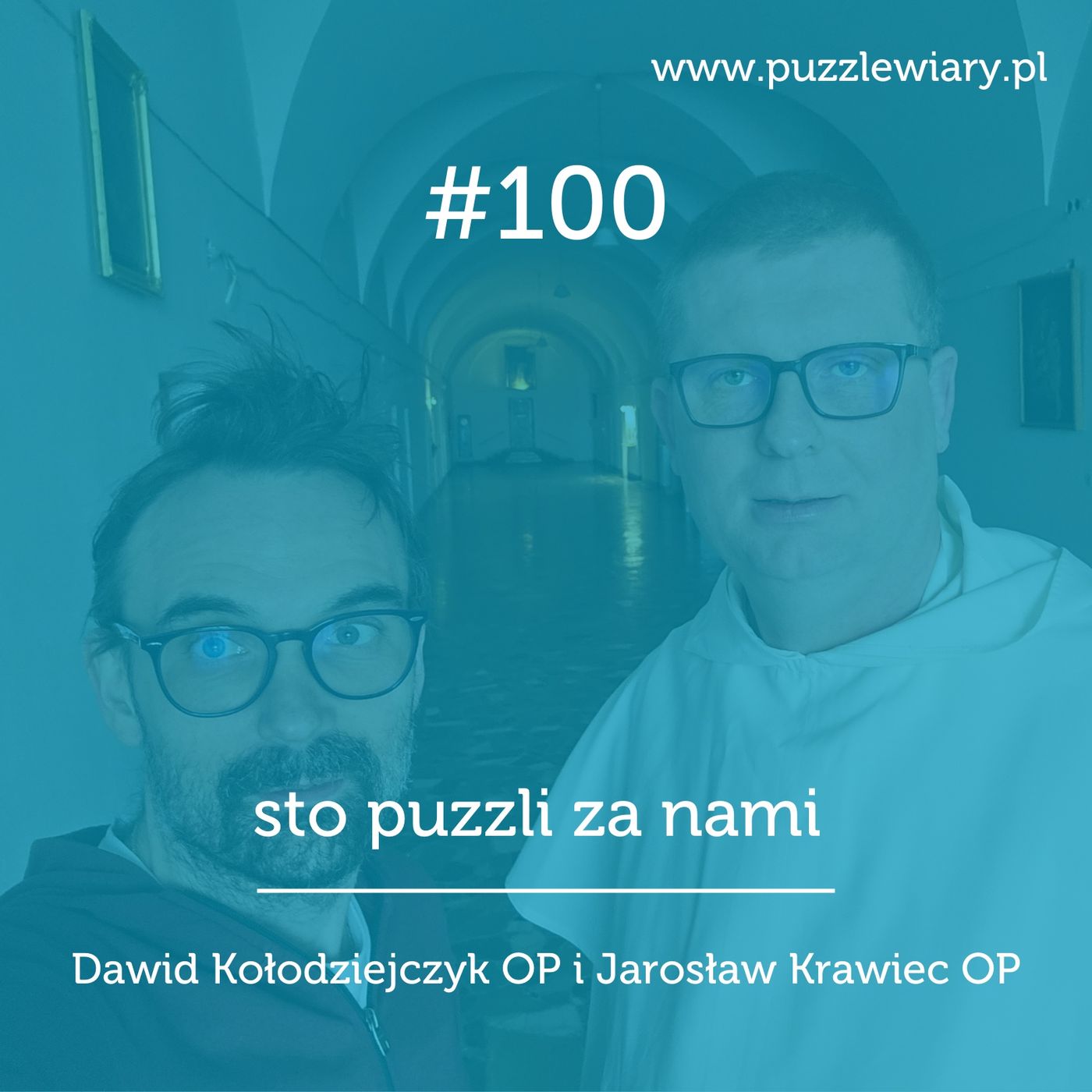 Puzzle Wiary