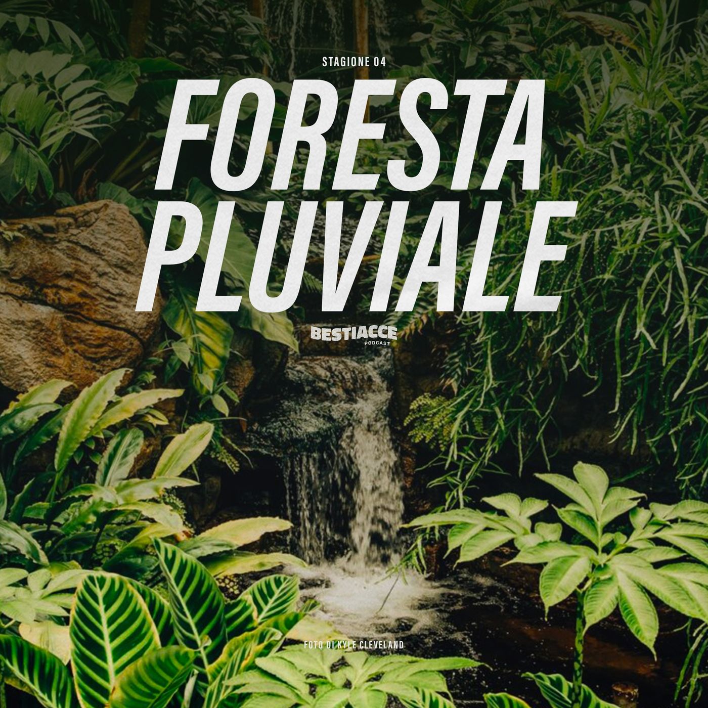 Ep 37 • Foresta Pluviale