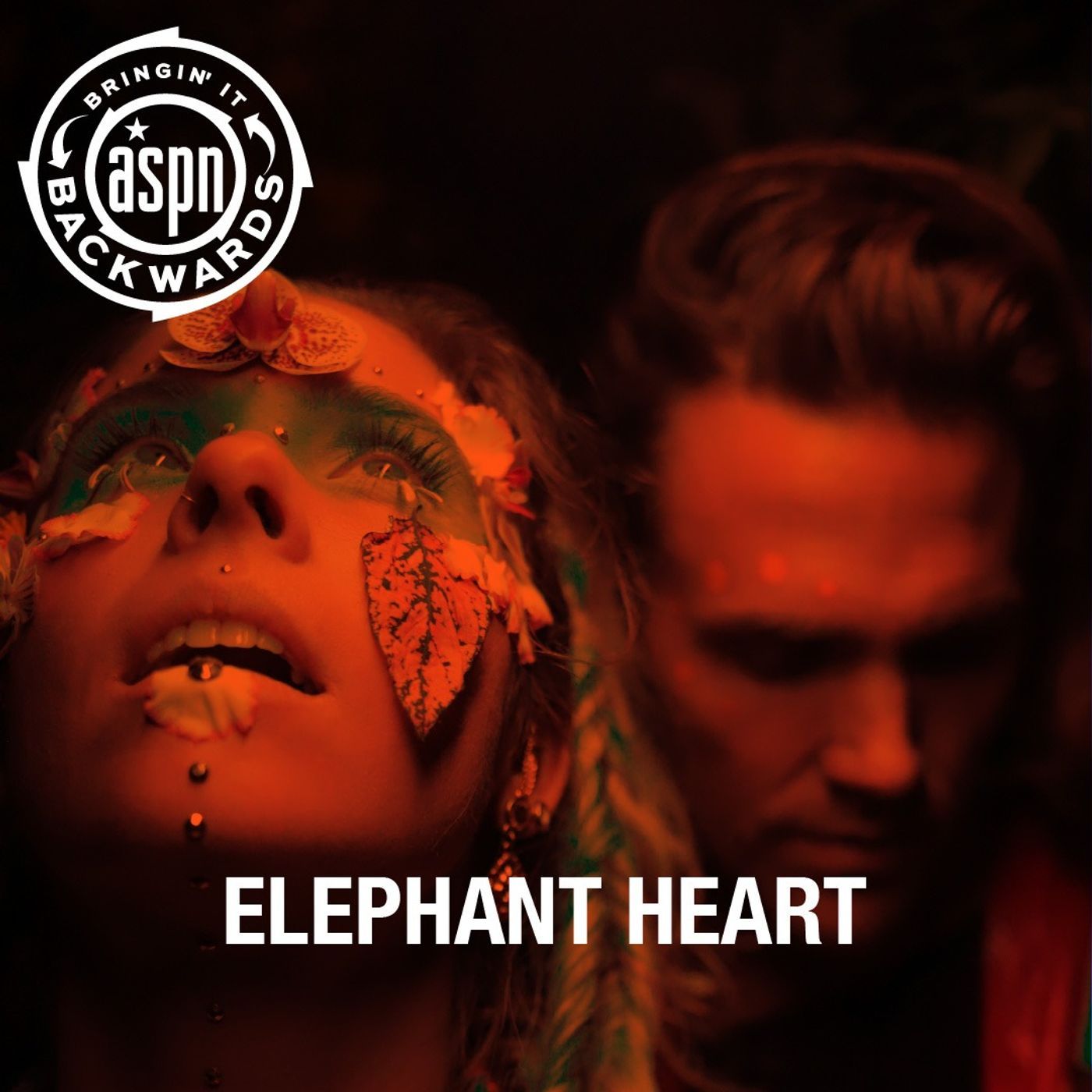 Interview with Elephant Heart