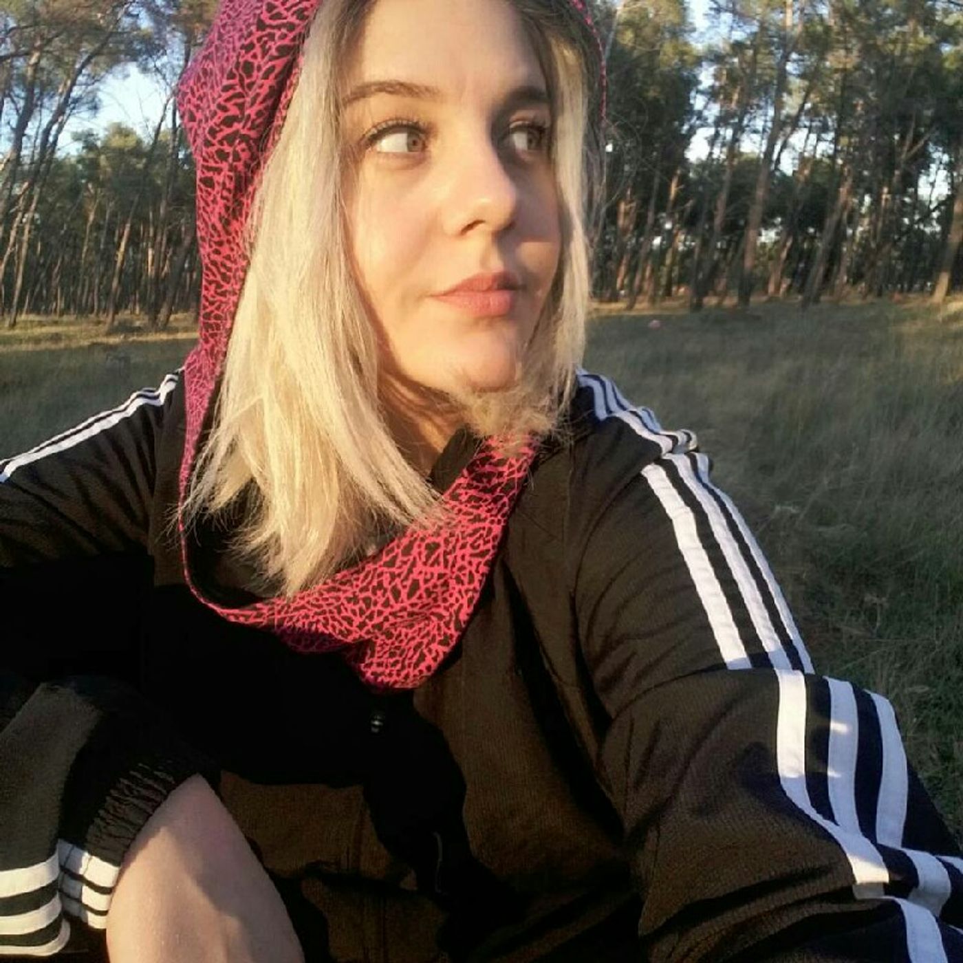 Bogovi humora