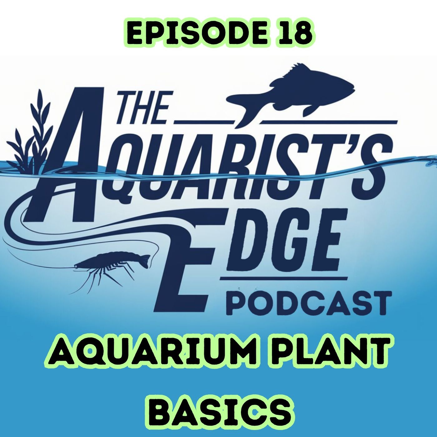 The Aquarist\'s Edge