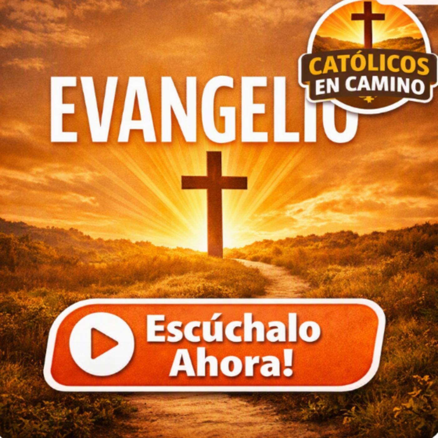 Santo Evangelio Diario Domingo XX Ordinario 
Mons Enrique Diaz Diaz episode artwork