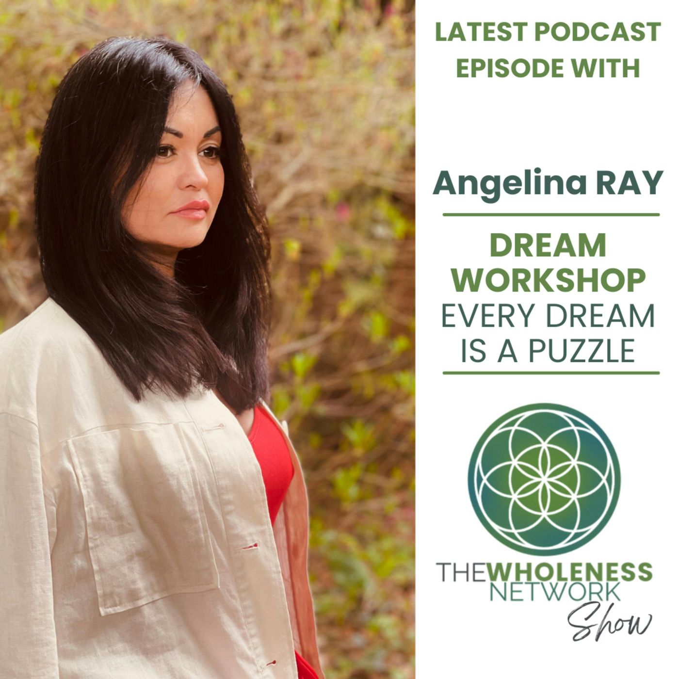 96. Every Dream is a Puzzle - Angelina RAY episode artwork