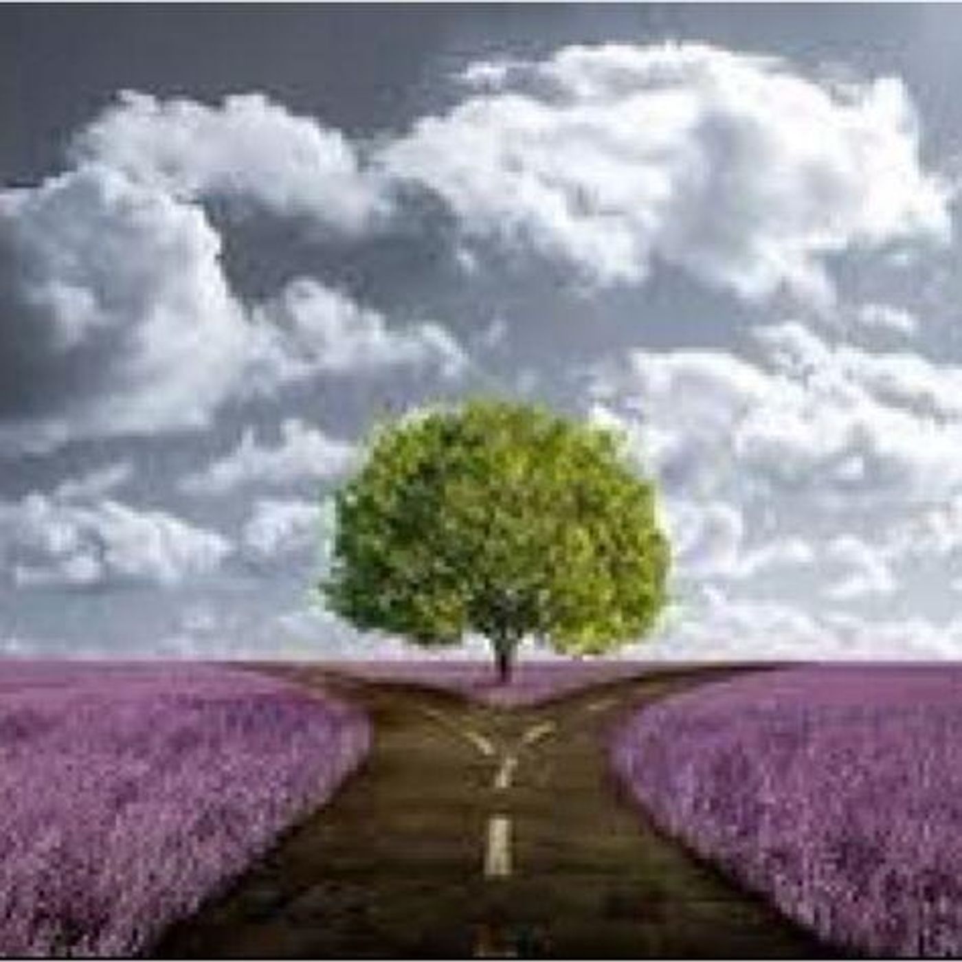 85.  Desire vs. Reality: Unlocking Vibrancy, Connection, and Meaning in a Modern World episode artwork