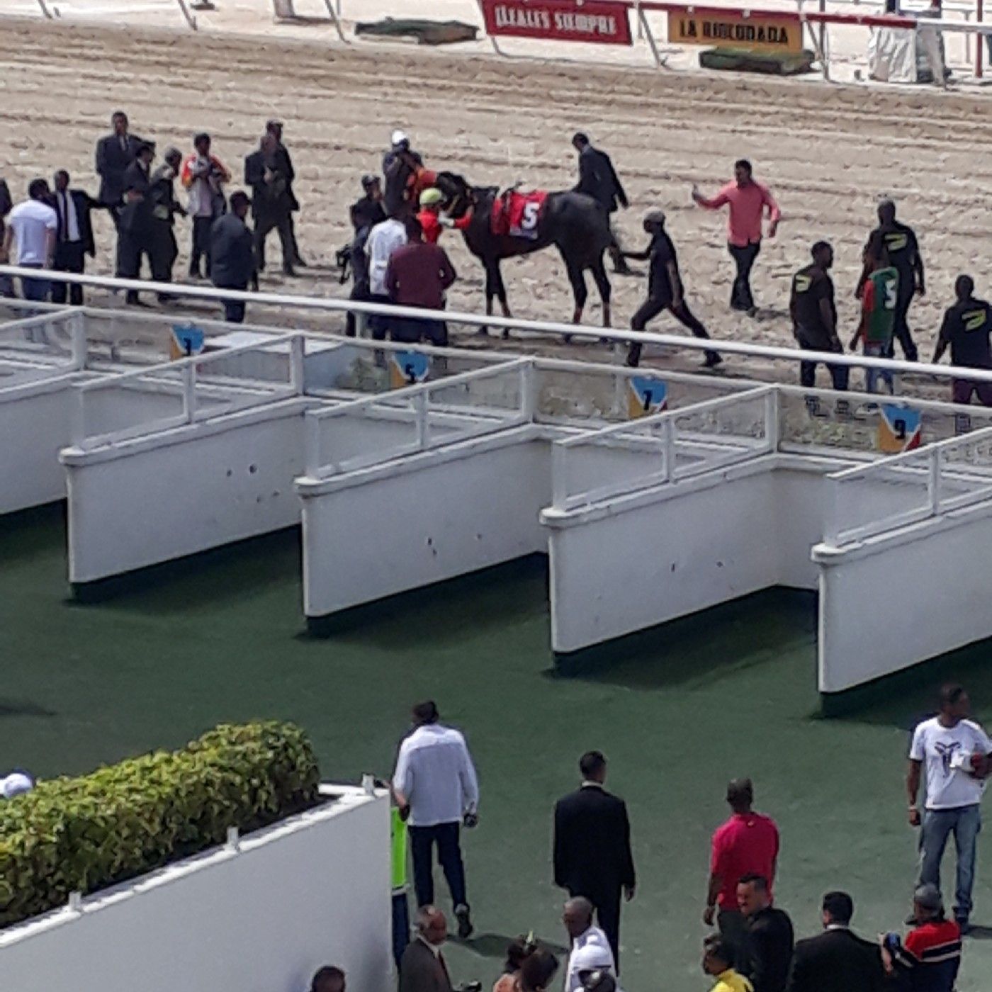 Hipismo Y Algo Más Jose ocopio