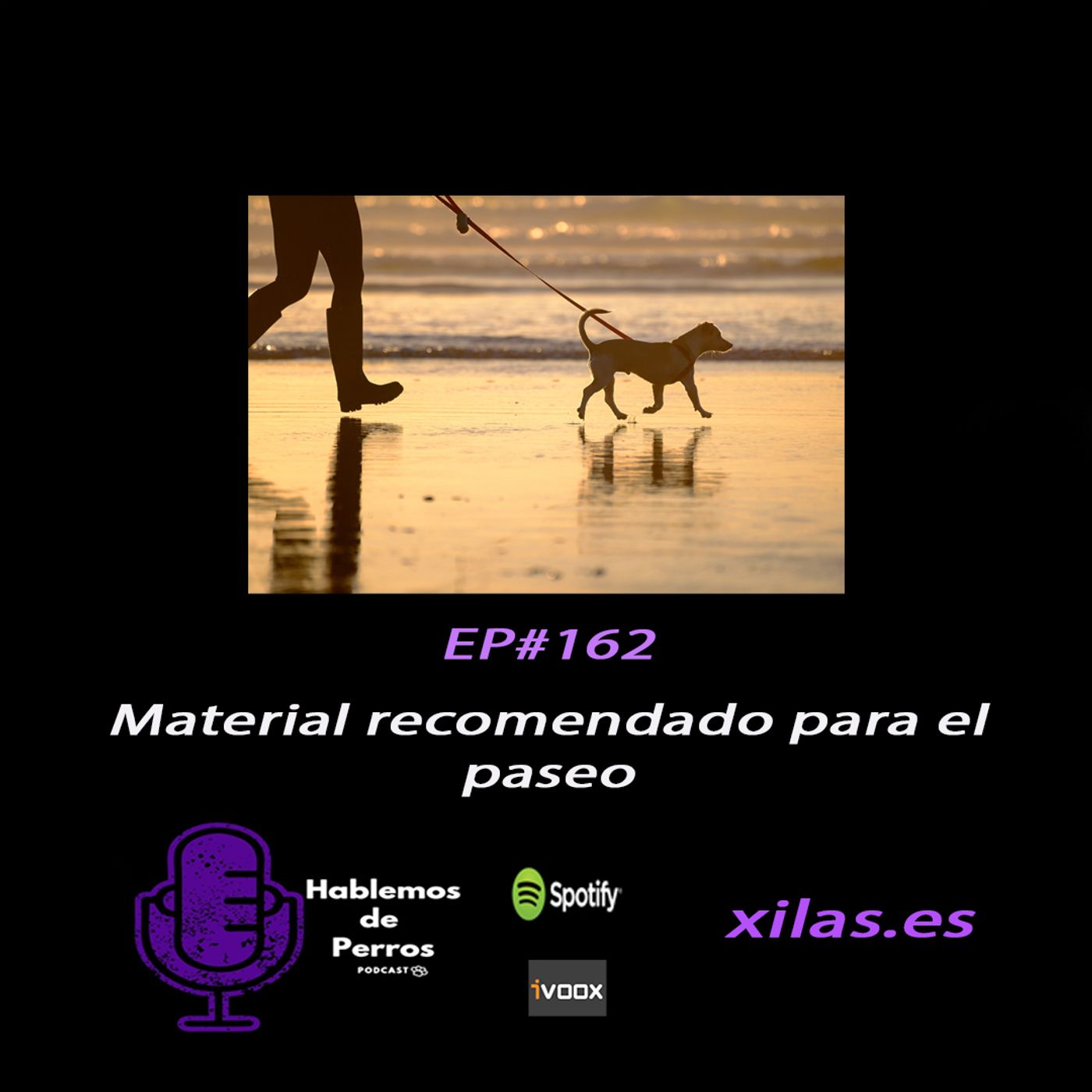 Hablemos de perros