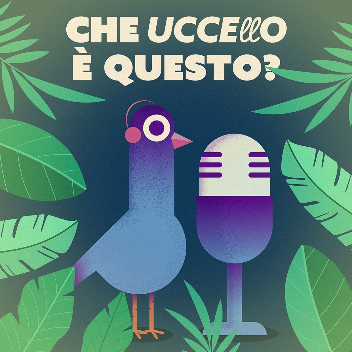 Che uccello è questo? cover art