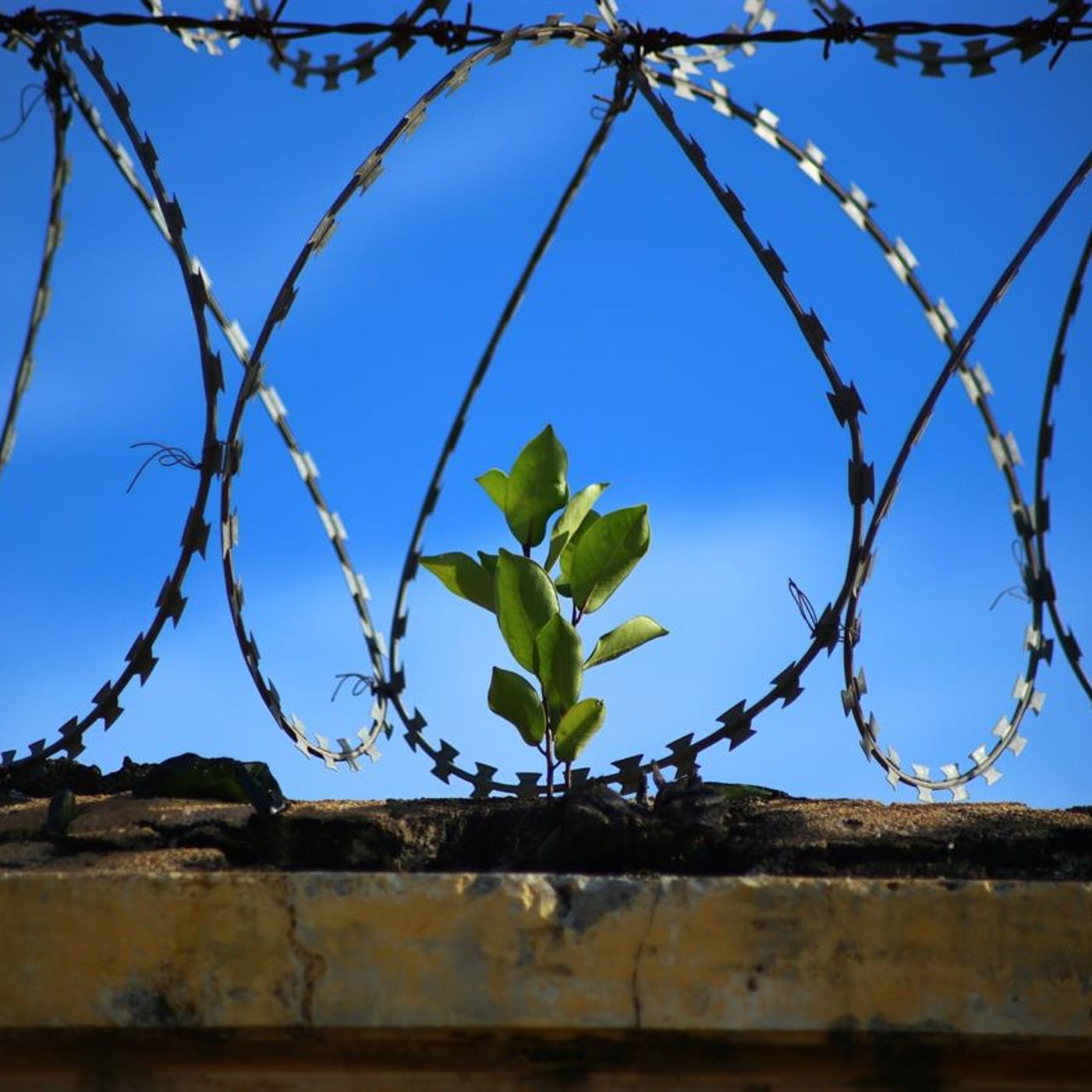 Progetto Carcere