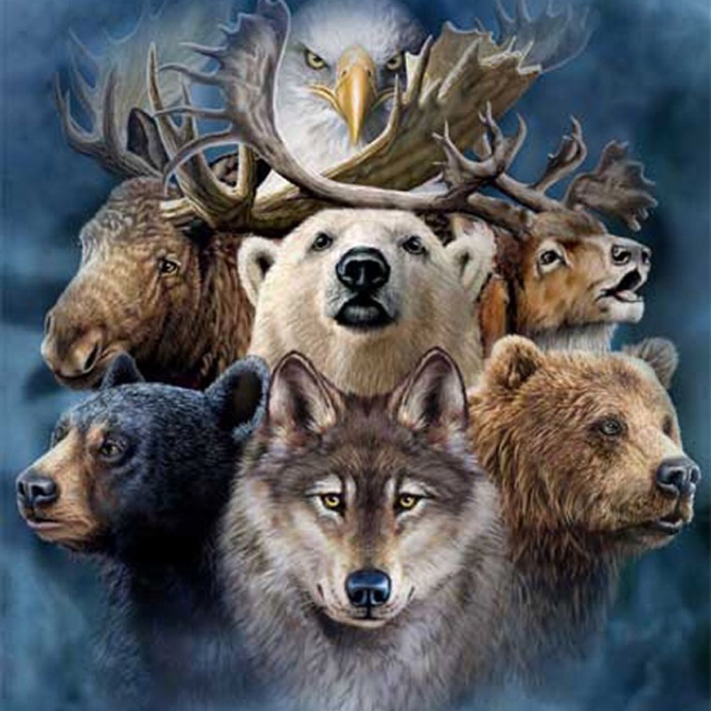 Animals know your spirit episode artwork