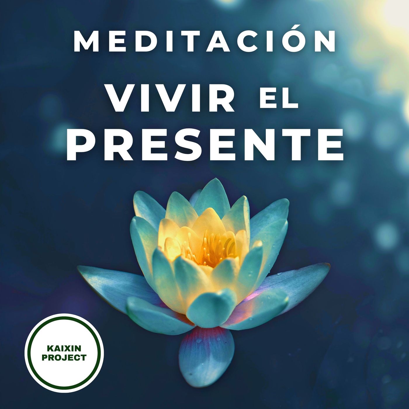 Meditacion y Mindfulness - KAIXIN PROJECT -