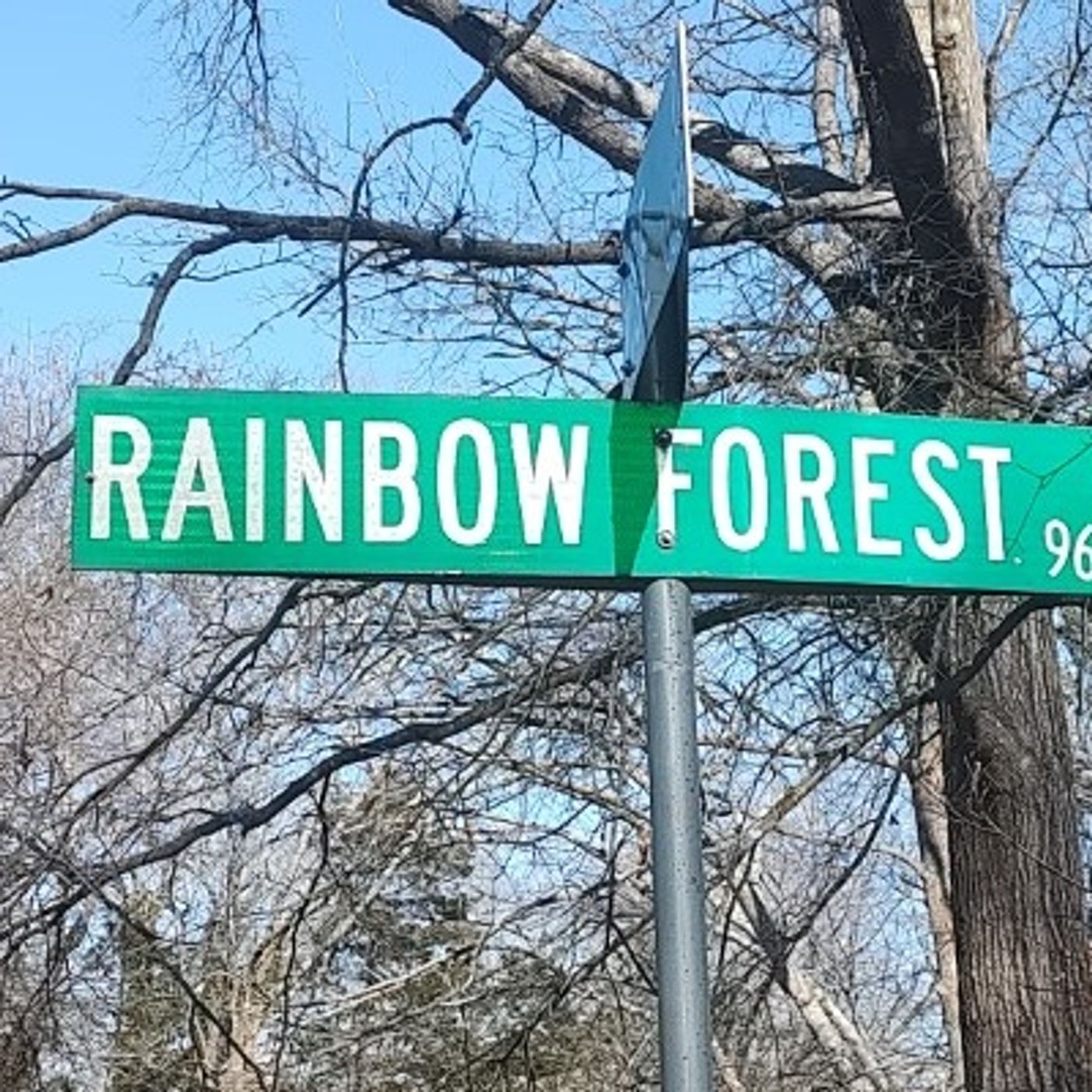 The Lyrics From Rainbow Forest Chapter 362 Don't Run Away From The Storms