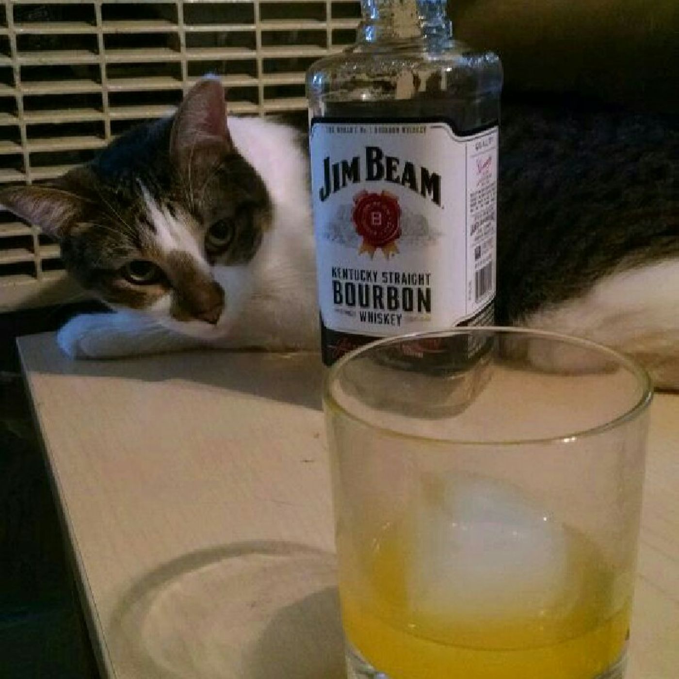 Boswell Kicks Six, Bengals Drowned By Banana Fish. Steelers!