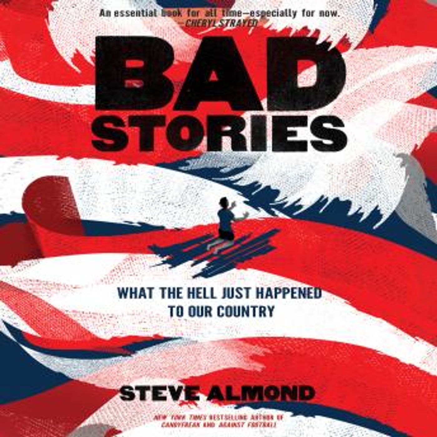 Bad Stories: What the Hell Just Happened to Our Country by Steve Almond episode artwork