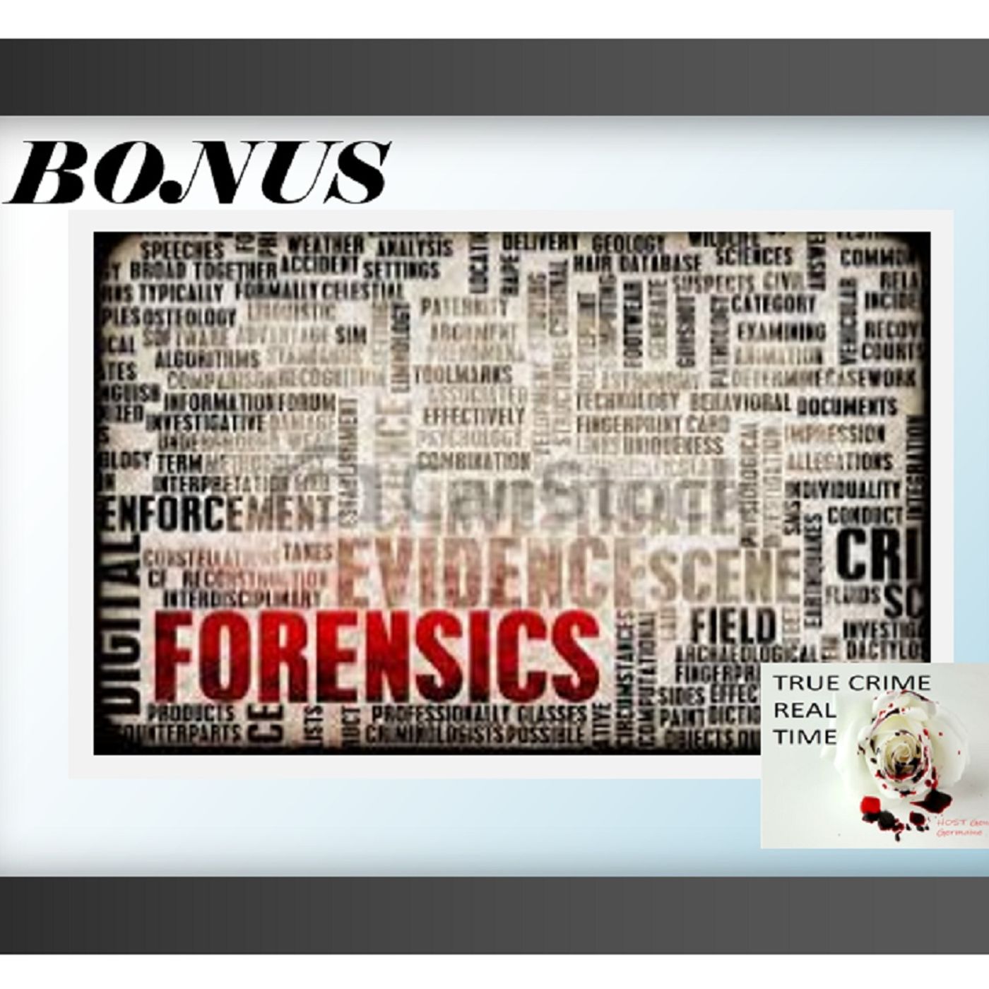 True Crime Real Time