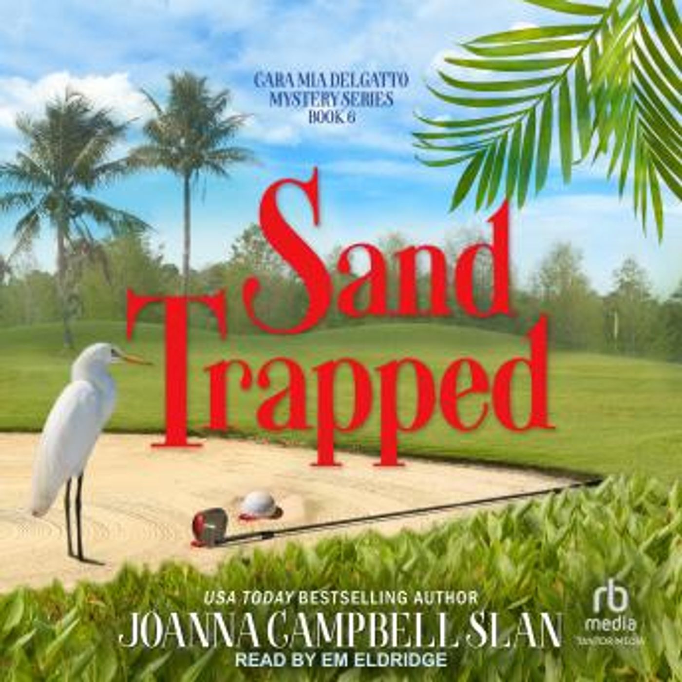Download Top Full Audiobooks in Mystery, Thriller & Horror, Cozy Mystery