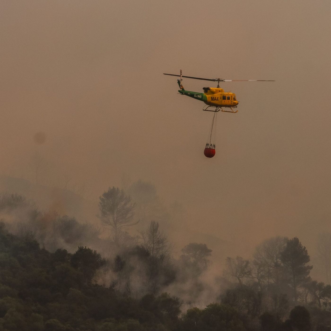 Prensa económica: El campo estalla contra los planes ecologistas del Gobierno