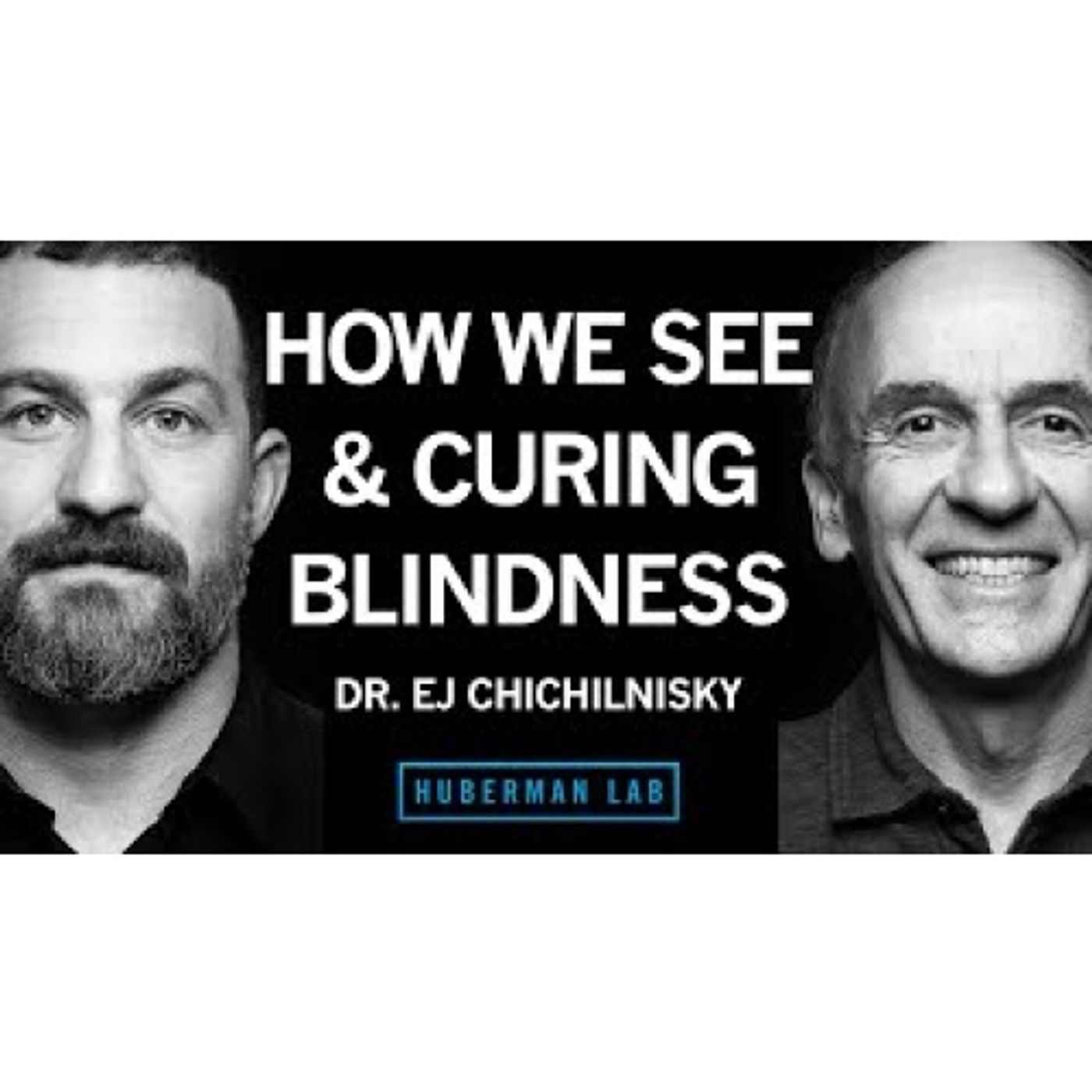 How the Brain Works, Curing Blindness & How to Navigate a Career Path _ Dr. E.J. Chichilnisky
