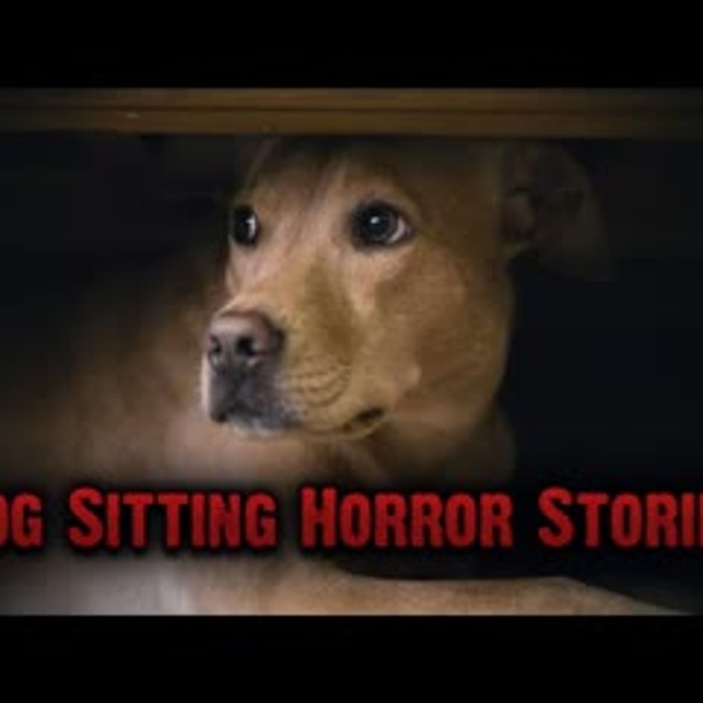 3 Allegedly TRUE Dog Sitting Horror Stories episode artwork