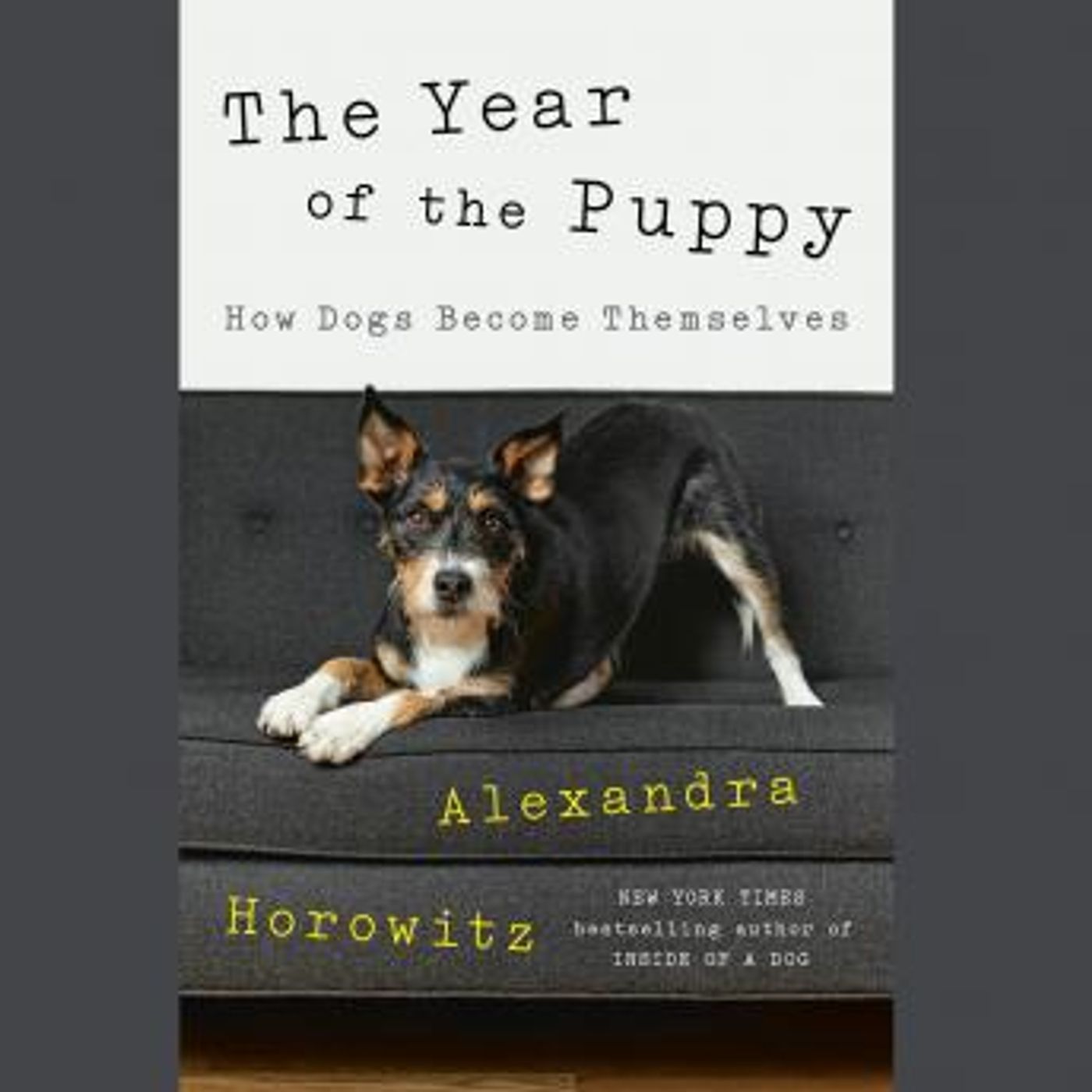 Access Unmissable Free Audiobooks in Biography & Memoir, Memoirs