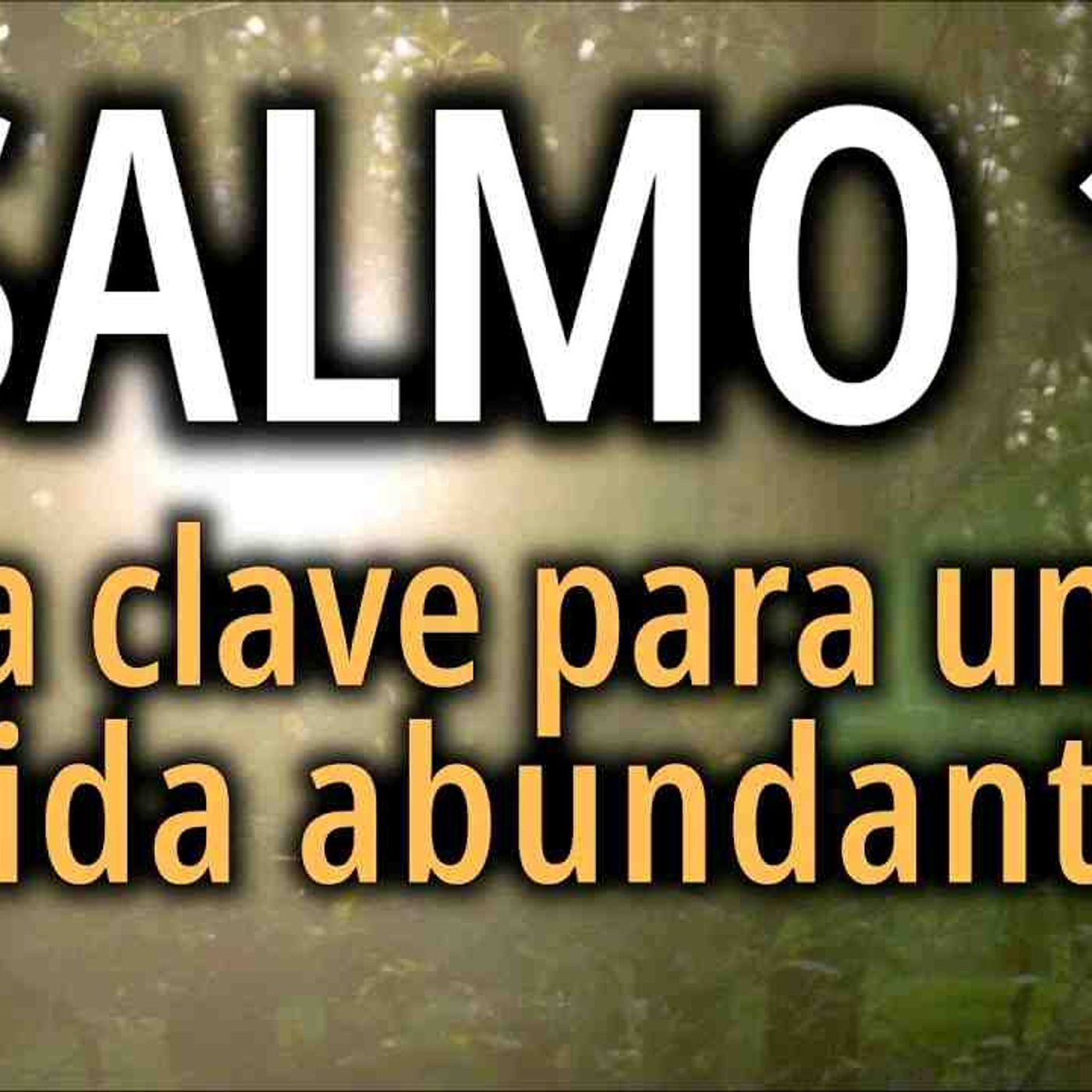 Salmos y Oraciones para recibir paz _  Salmo 1 Vida Abundante _ La Biblia(MP3_160K) episode artwork