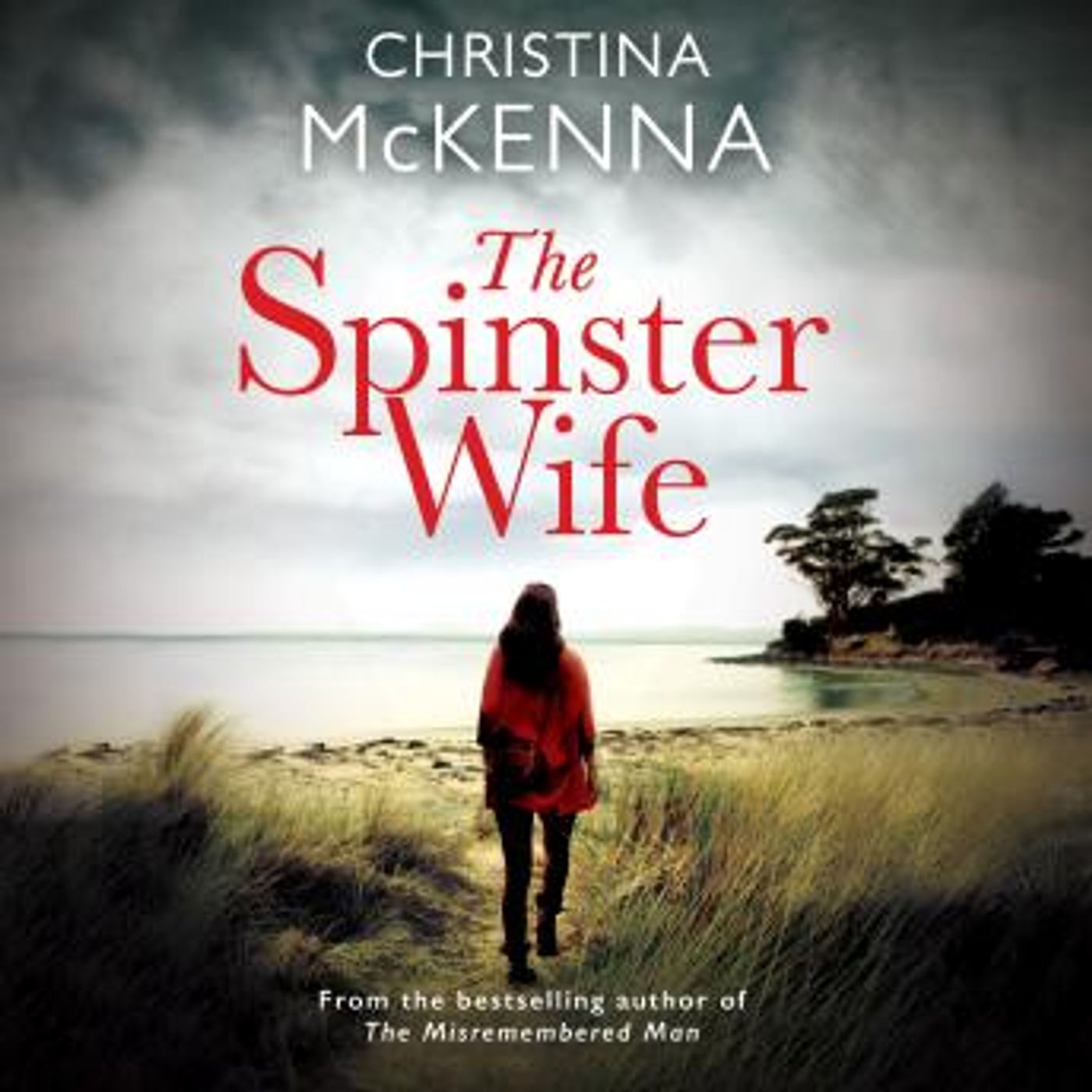 Grab the Top Full Audiobooks in Fiction, Contemporary Women
