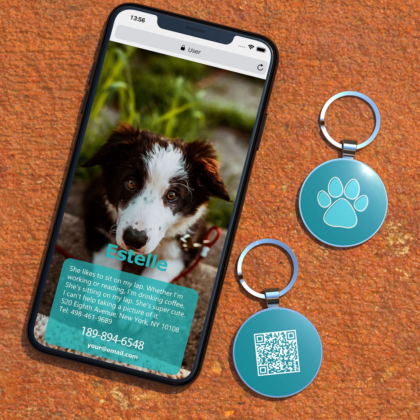 Australia’s Best Dog Harness with Name – podcast artwork