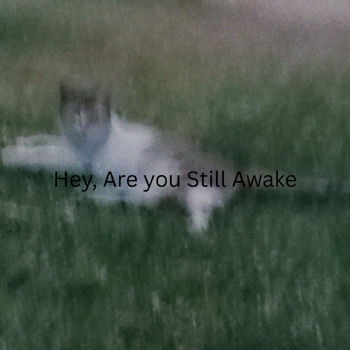 Hey, Are you still awake?