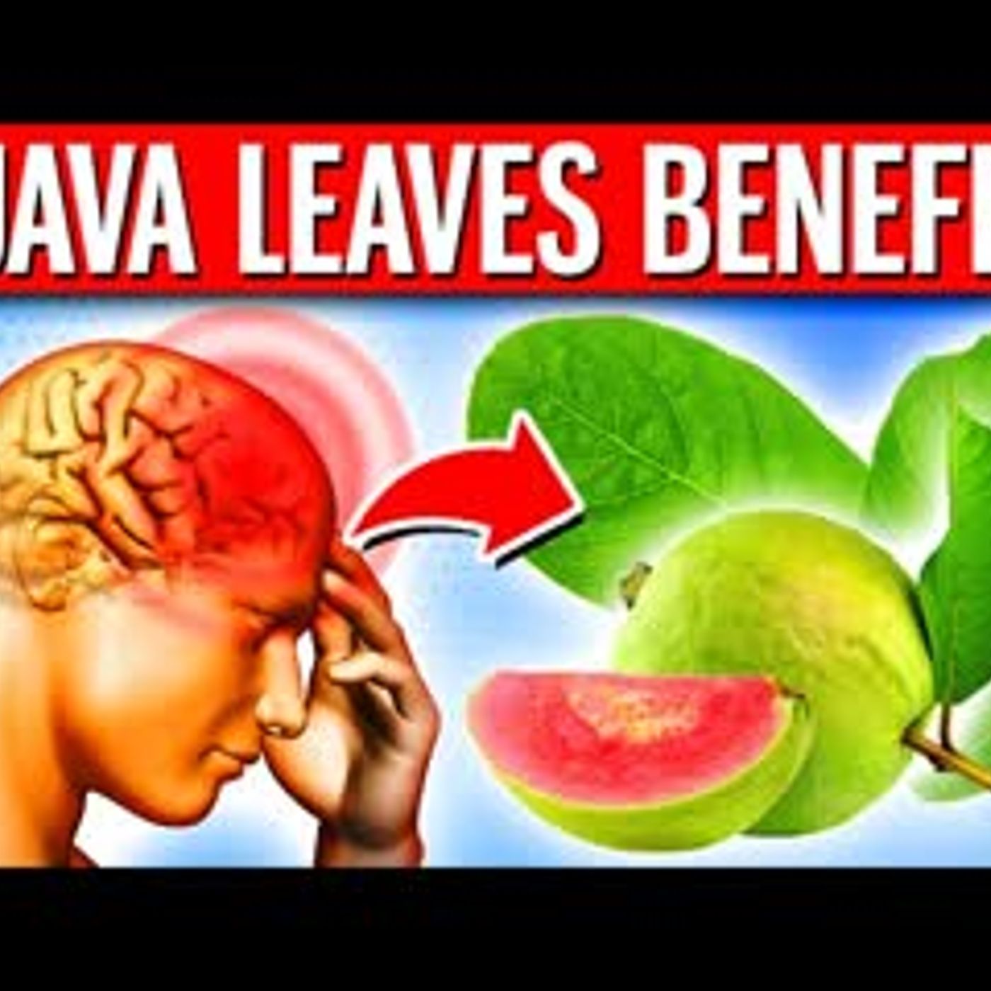 10 POWERFUL Health Benefits Of Guava Leaves No One Told You About episode artwork