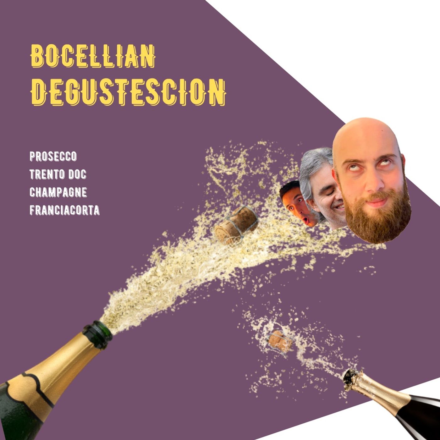 IVV Wine Show