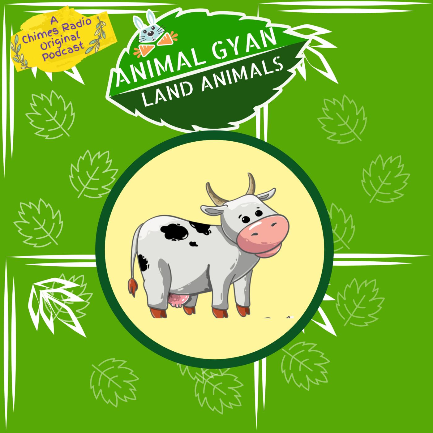 Cows