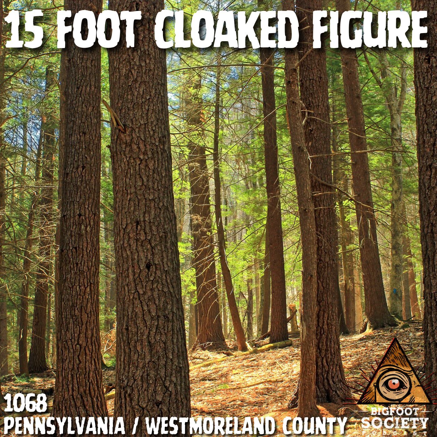 A Hunter in Westmoreland County Describes the Moment Something Passed Beneath His Stand