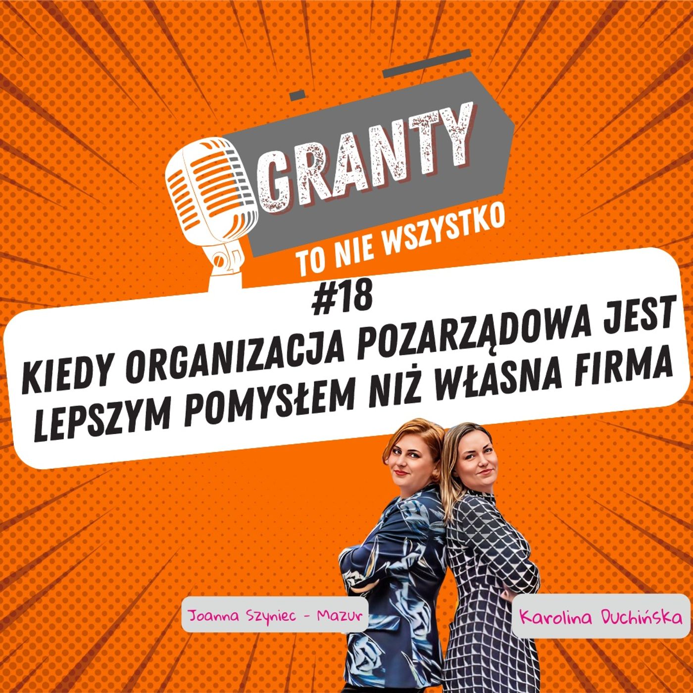 #18 kiedy organizacja pozarządowa jest lepszym pomysłem niż własna firma episode artwork