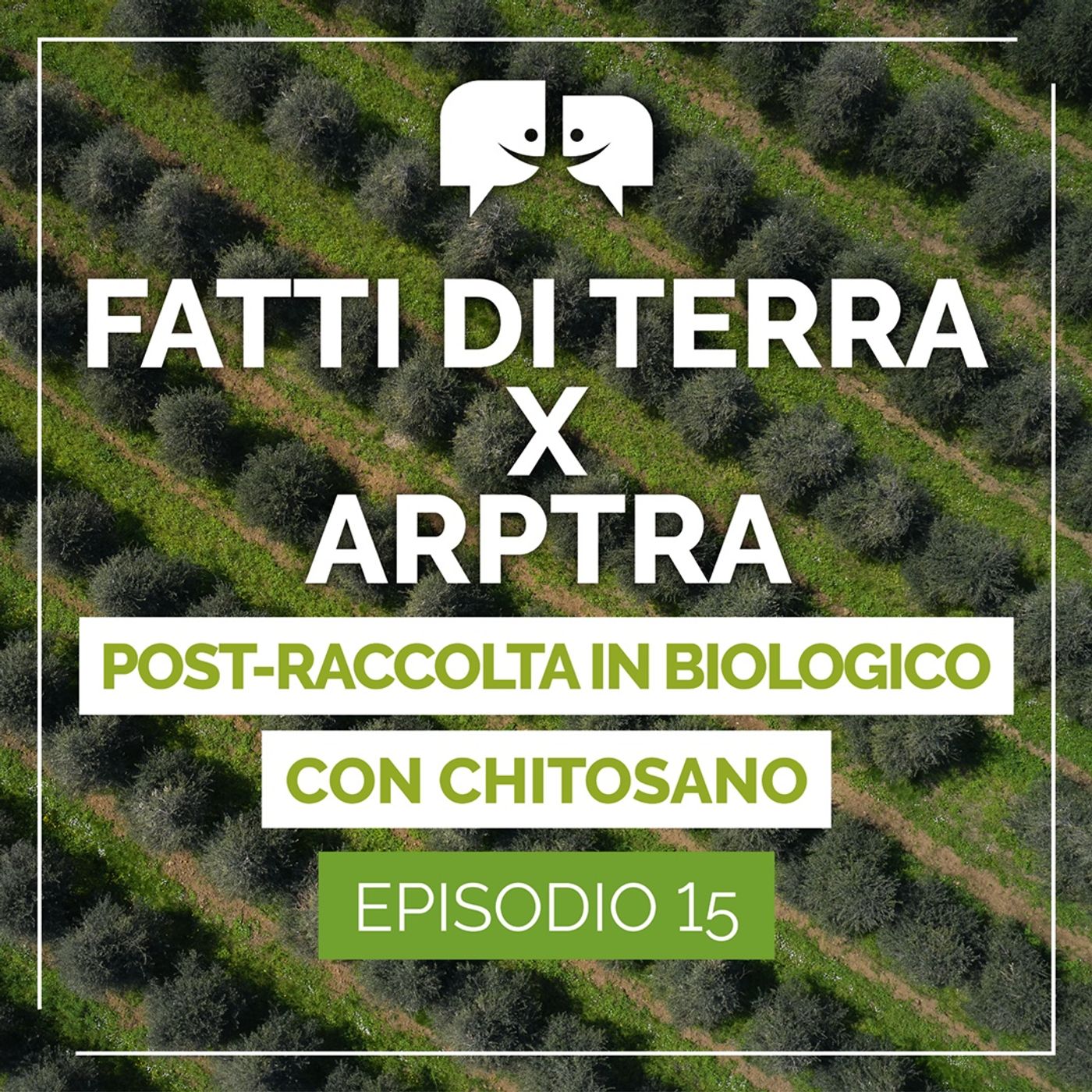 Fatti di terra