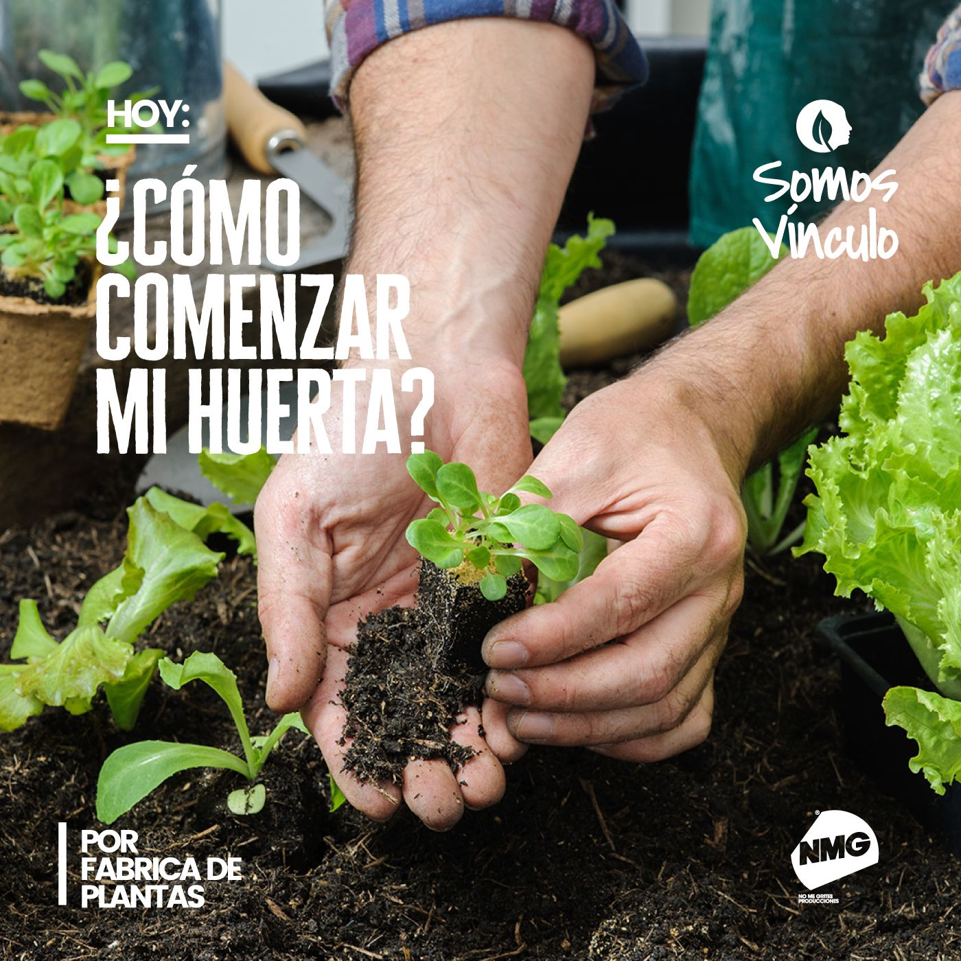 Somos vínculo
