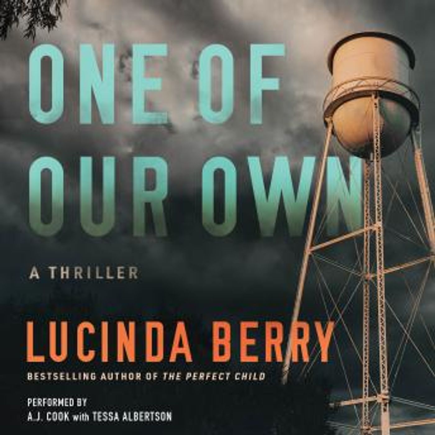 Download High-Quality Full Audiobooks in Fiction, Contemporary Women