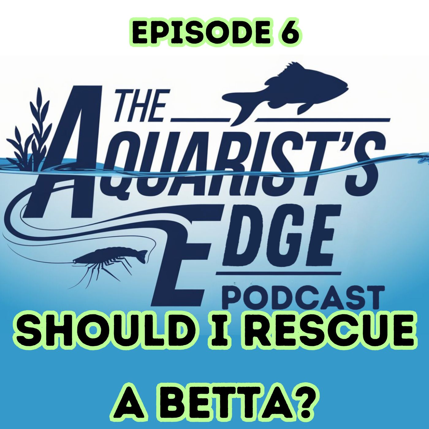 The Aquarist\'s Edge