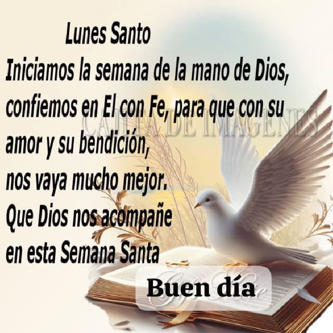 Episodio 40 - Orar Contigo Otra Vez episode artwork