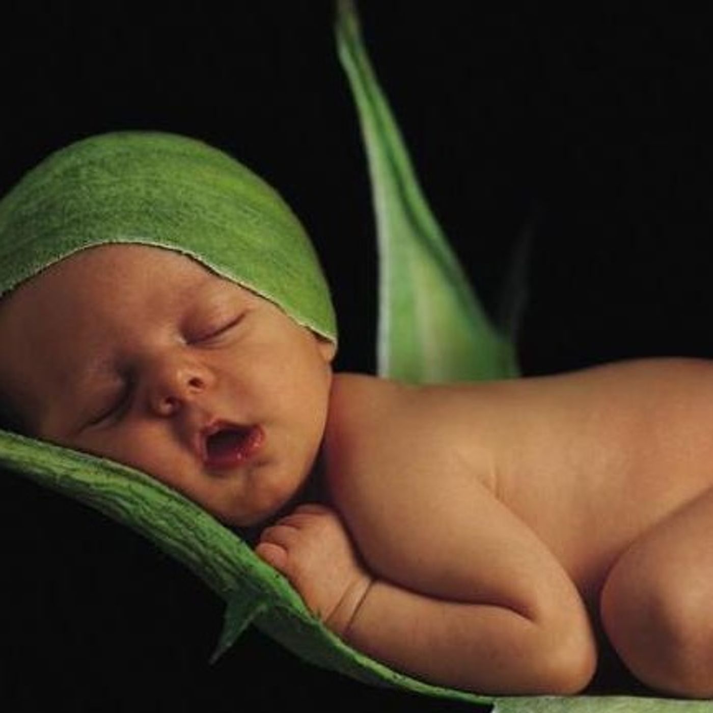 RaDio Bìo ( Autoproduzione )