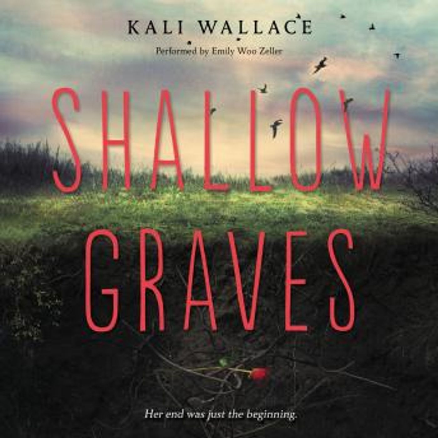 Download New Full Audiobooks in Teen & YA, Mystery & Thriller