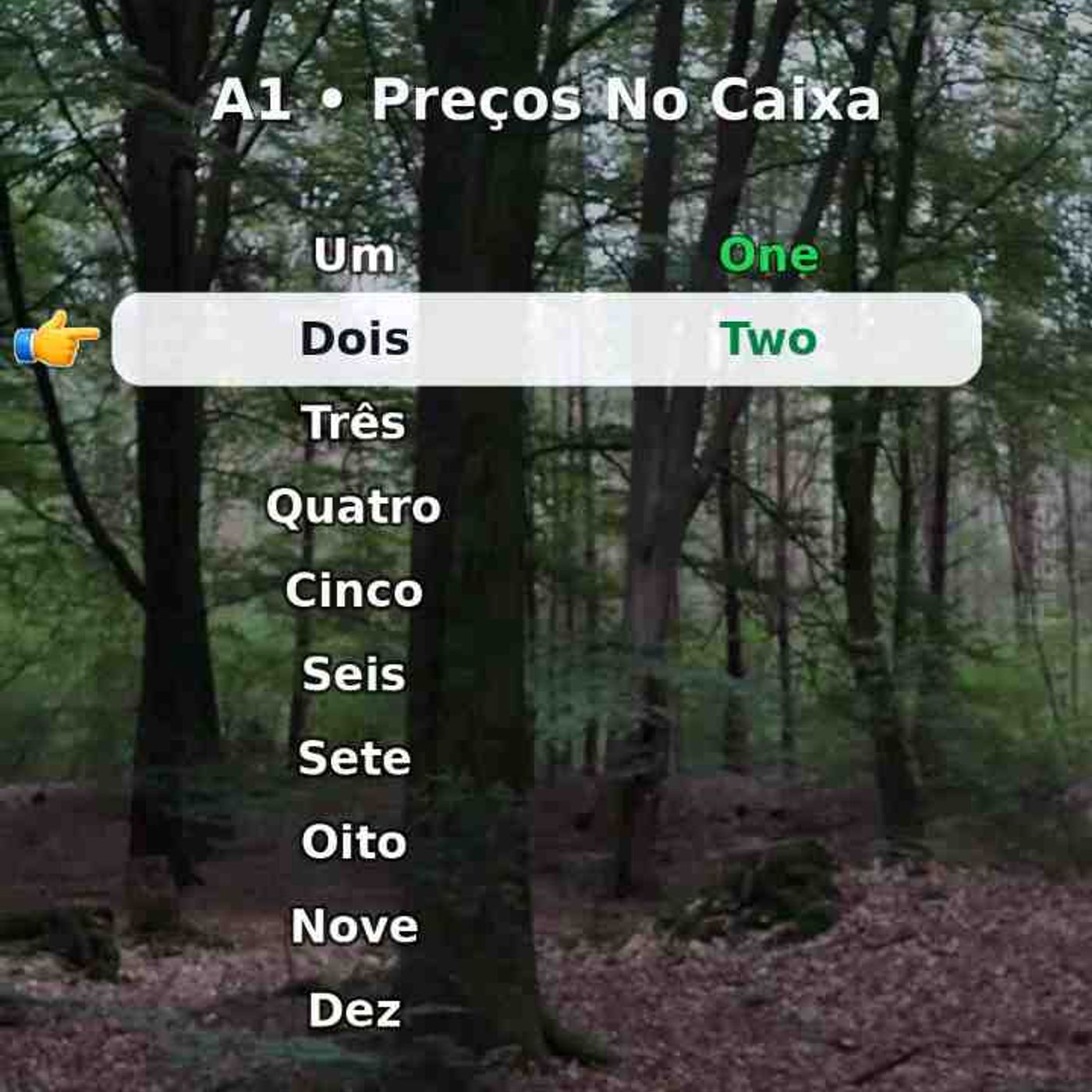 Salve e repita em voz alta_ preços no caixa.