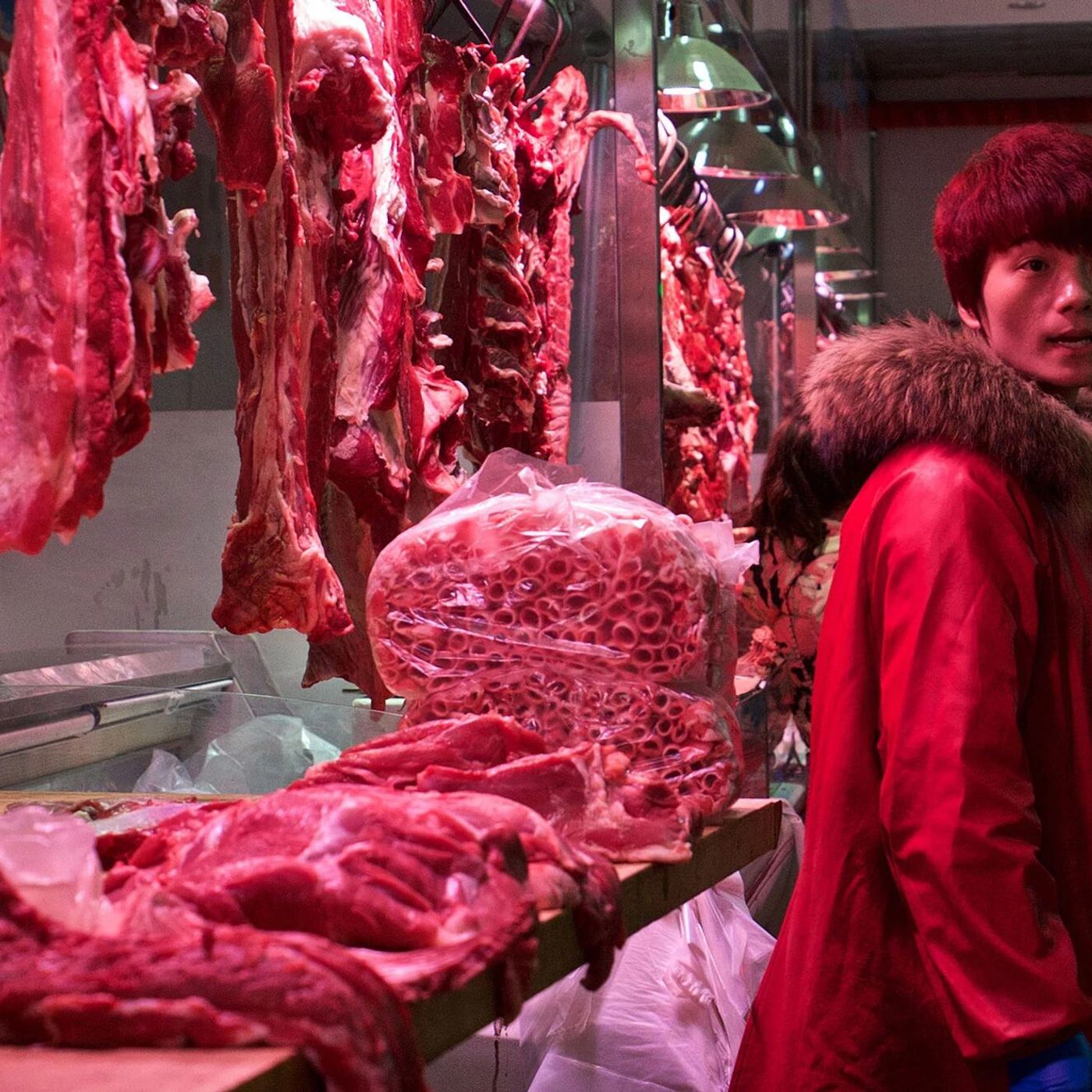 Produção mundial de alimentos de origem animal dispara em seis décadas, diz FAO episode artwork