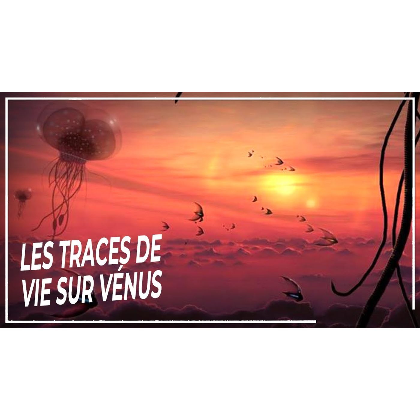 Orbinéa Le Monde des Odyssées| Documentaire Podcast Histoire pour dormir Livre Audio Enfant & Adulte