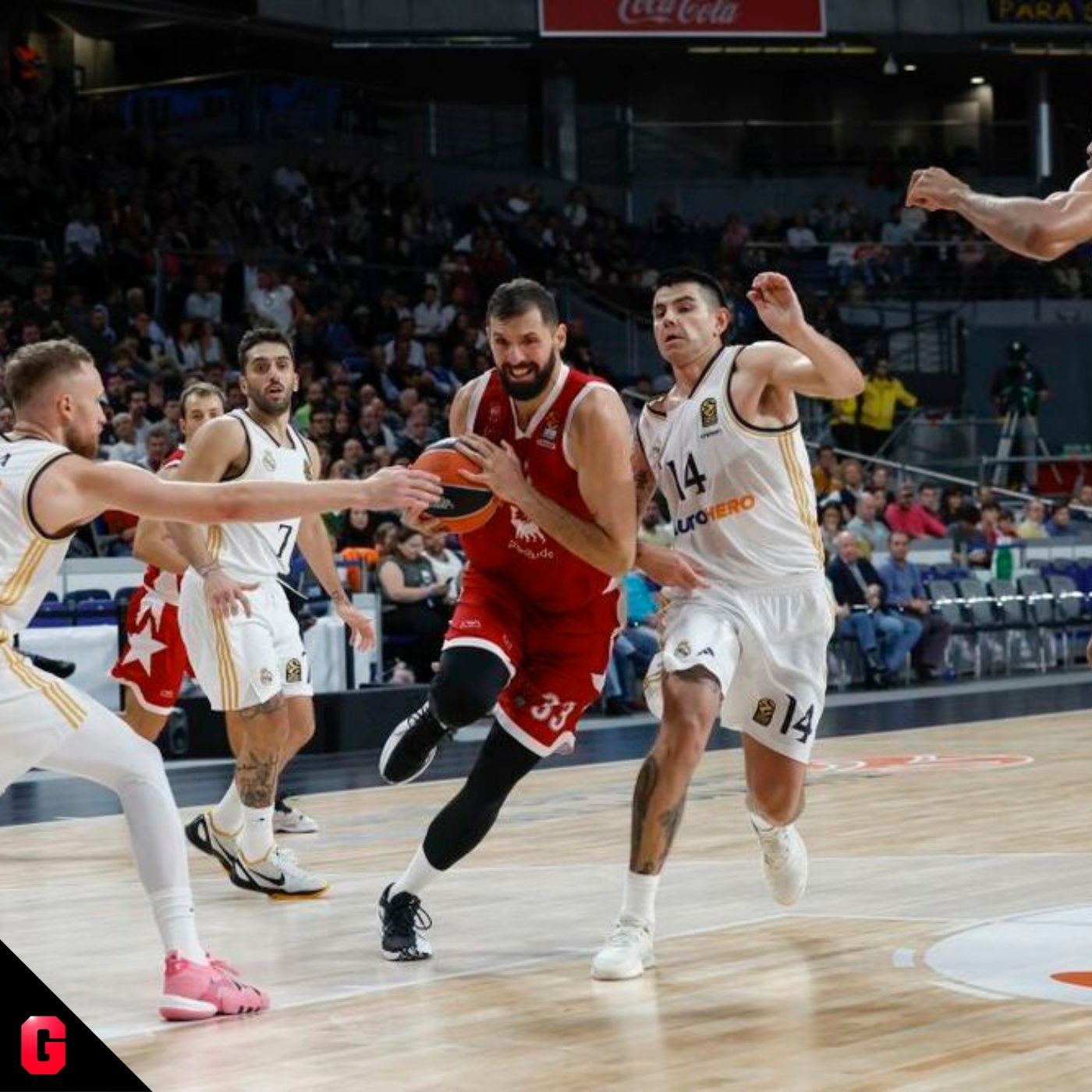 Gigantes Daily, baloncesto al día