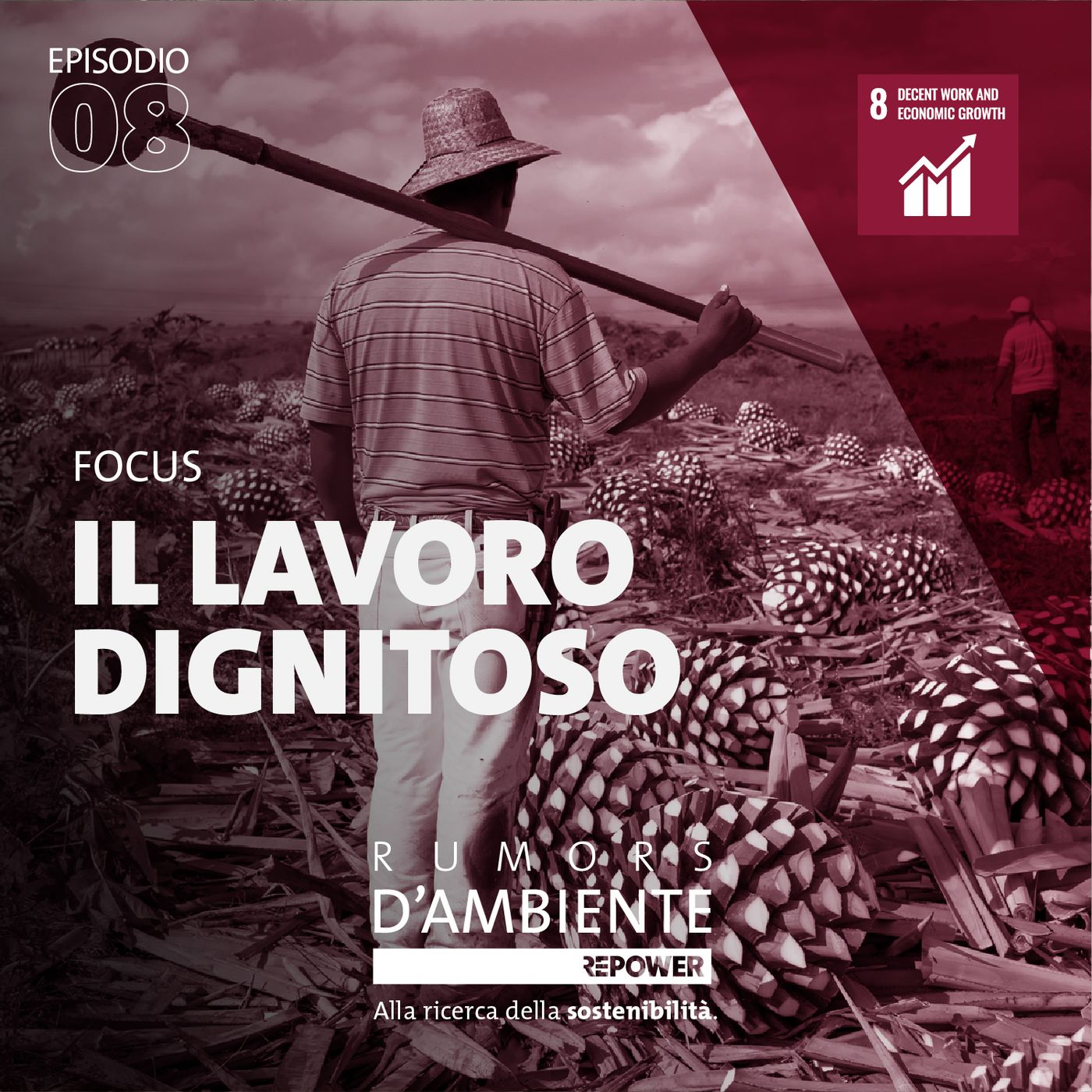 Focus – Il lavoro dignitoso episode artwork