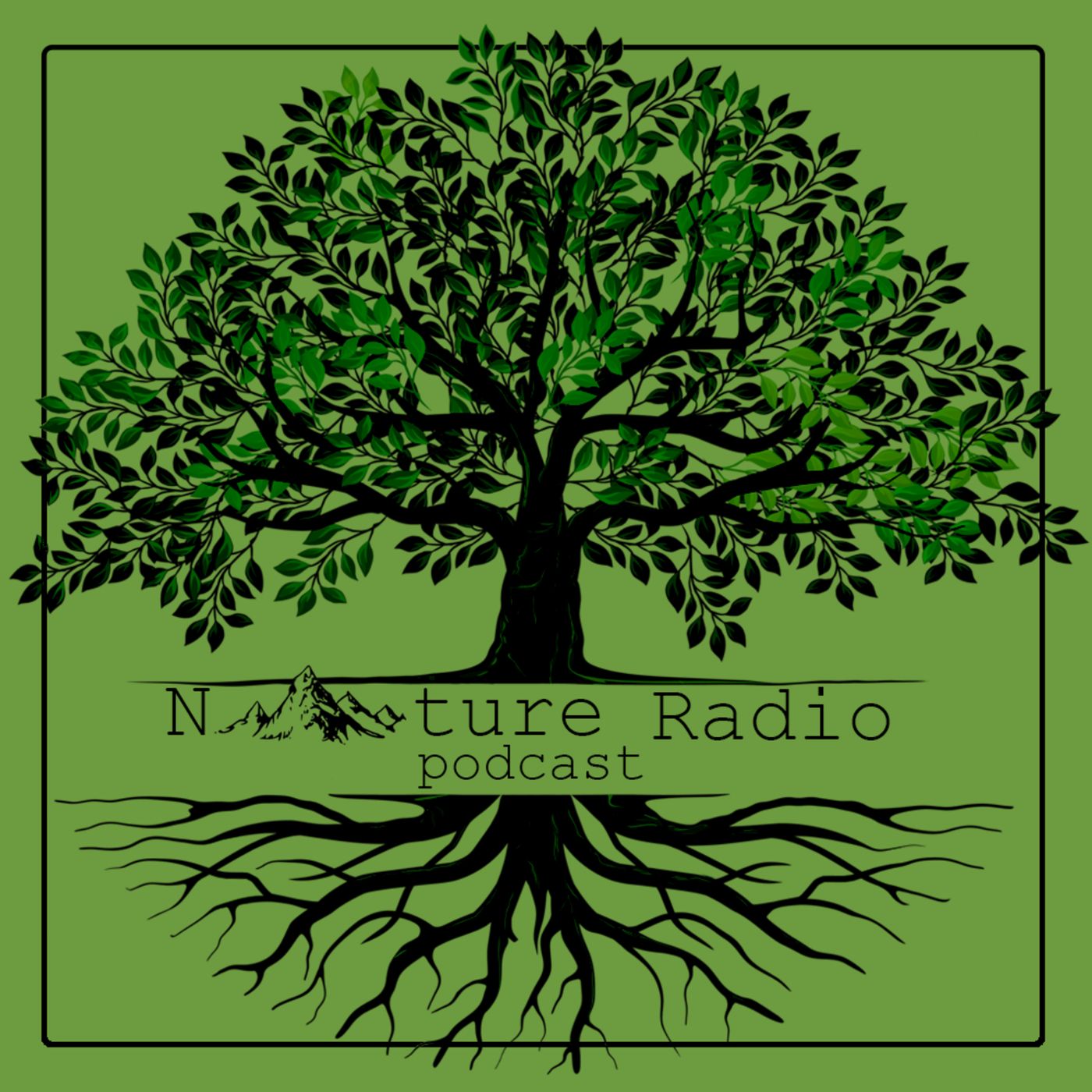 Nature Radio l رادیو طبیعت